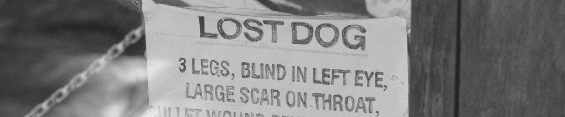 Sign for a lost dog Kalgoorlie 1990