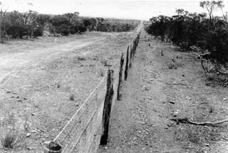 No. 1 Rabbit Proof Fence 1926 000876d