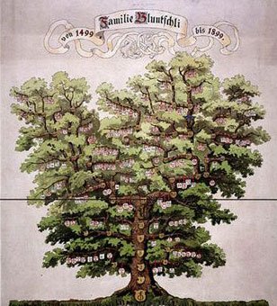 Family Tree