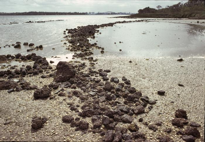 Aboriginal fish trap near Albany c1979