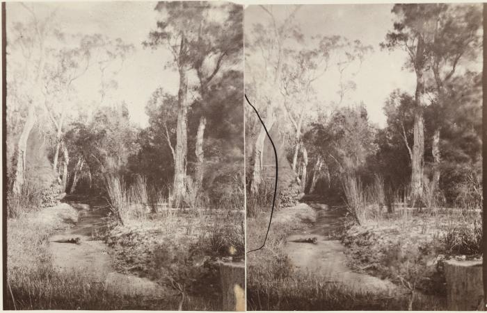 Stereograph of Claise Brook Perth 1861