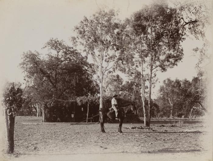 A boundary rider and his camp on Kimberley Downs Station 1912