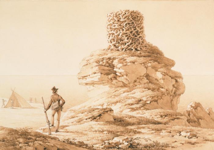 Pencil drawing of a gigantic birds nest on Dirk Hartog Island drawn by Adrien Taunay in 1818