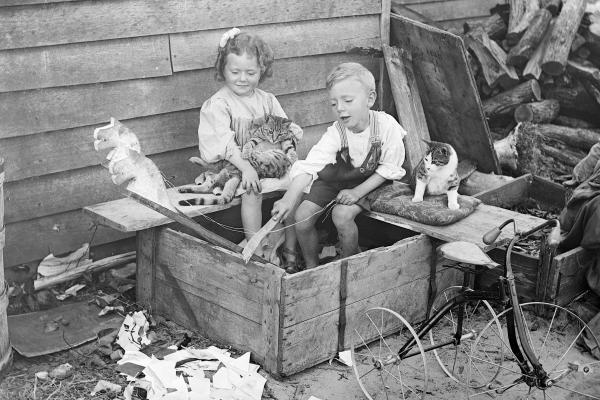 Children playing outside with pets and toys