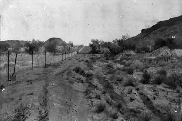 003203D Rabbit Proof Fence 1920