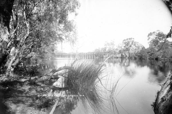 Swan River Guildford from the river bank