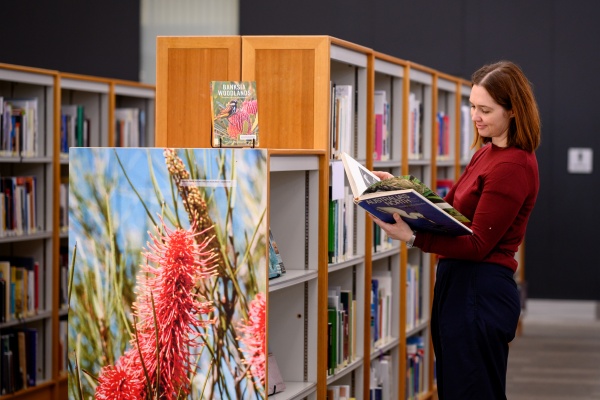 Looking at books on Level 3