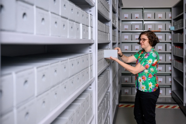 Staff removing box of film from shelving