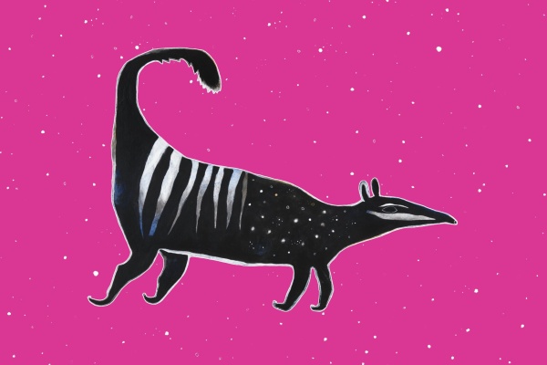 Western Australian Premiers Book Awards pink background and numbat 