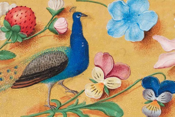 Poster for the lecture Meetings with Remarkable Manuscripts
