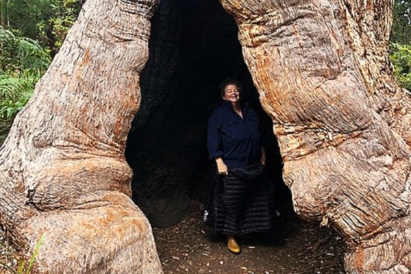 woman standing in hollow of tree