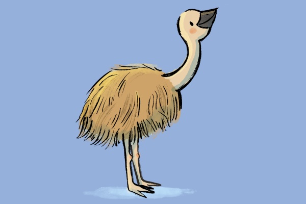 Childrens Book Week