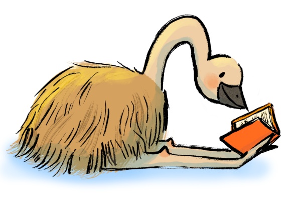 Echo the Emu 