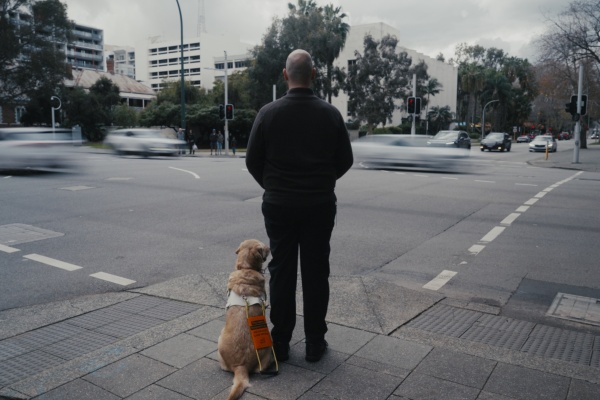 man and his guide dog facing a busy intersection