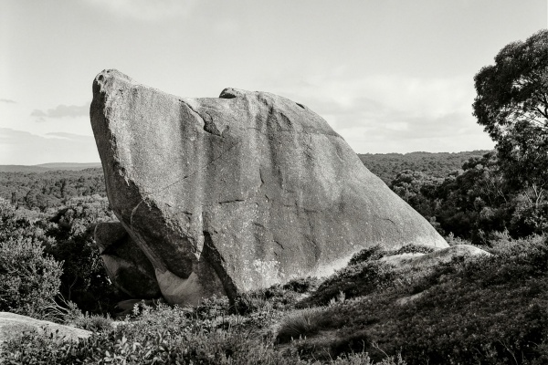 Dog Rock Albany ca 1910