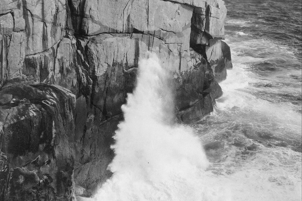 The Gap Albany 1954