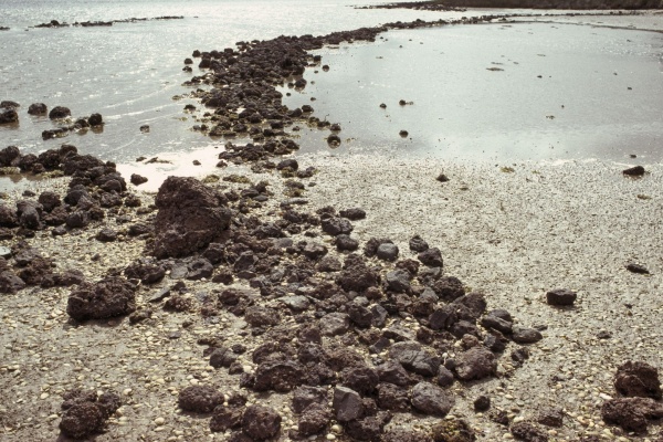 Aboriginal fish trap near Albany circa 1979