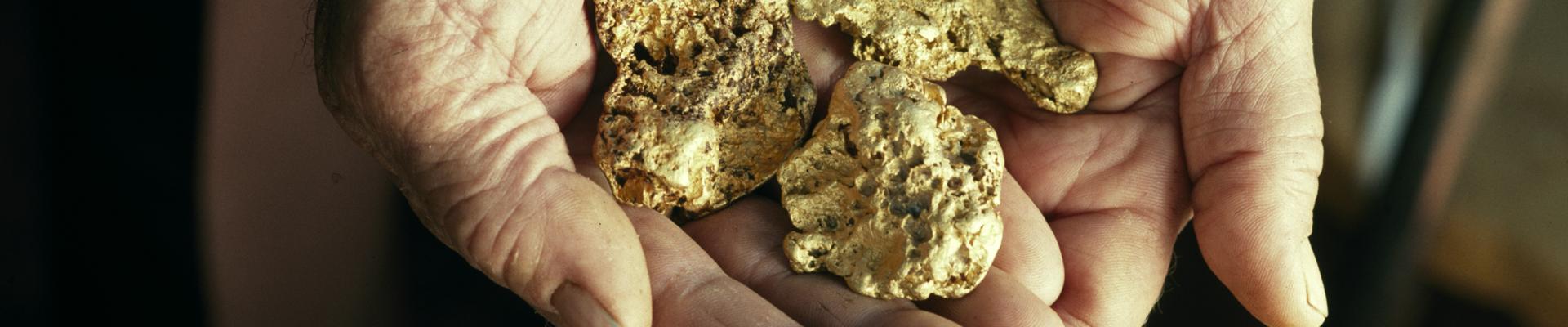 Gold nuggets found with a metal detector in the hands of a prospector in the Goldfields ca1997