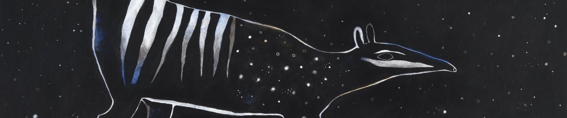 Constellation left hand side original illustration by Moira Court for the book My Superhero Numbat with starry back gorund