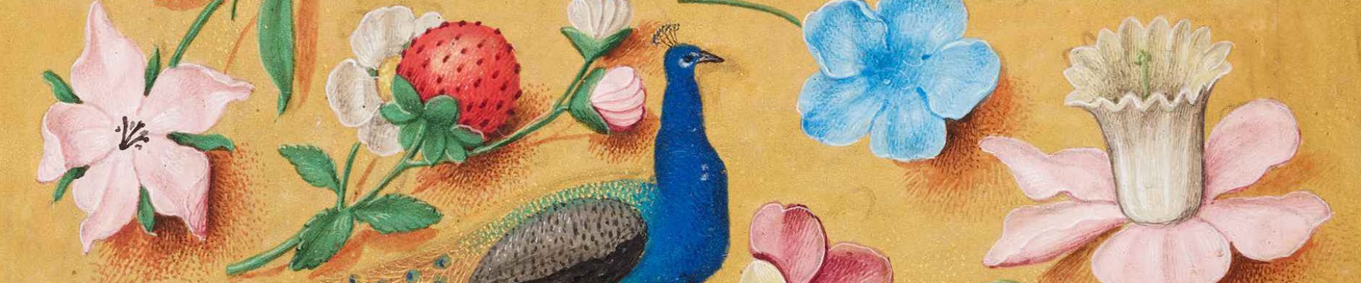 Poster for the lecture Meetings with Remarkable Manuscripts