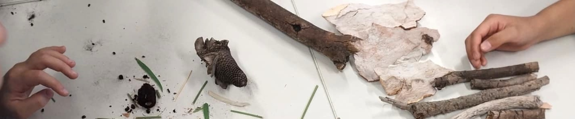 Jodie Davidson workshop