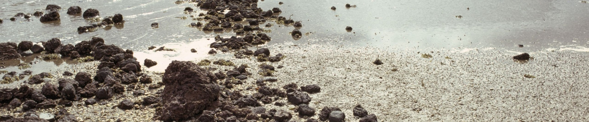 Aboriginal fish trap near Albany circa 1979
