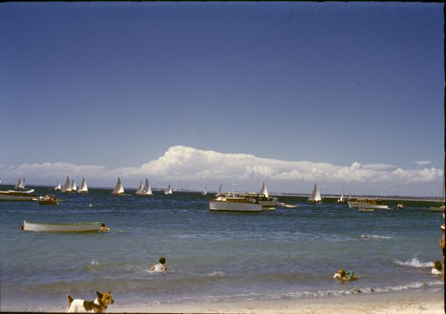 Yachts at Palm Beach Rockingham 1959