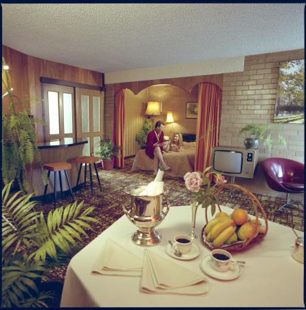 Suite at Red Castle Motel