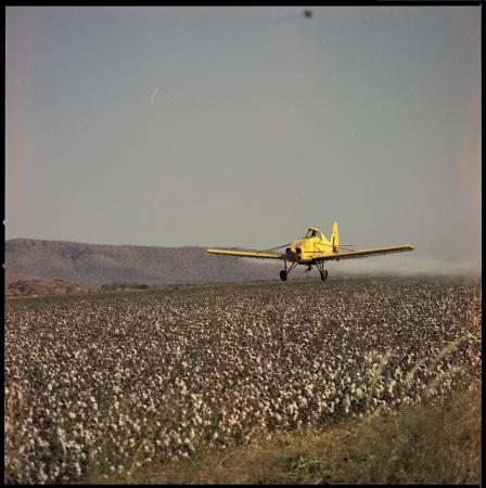 Crop dusting Fossil Downs Station 1969