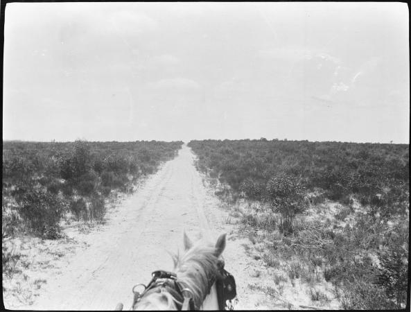 117451PD The road through the sand plain between Nyabing and Pingrup January 1915