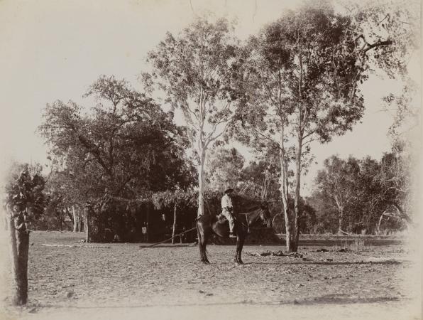 A boundary rider and his camp on Kimberley Downs Station 1912