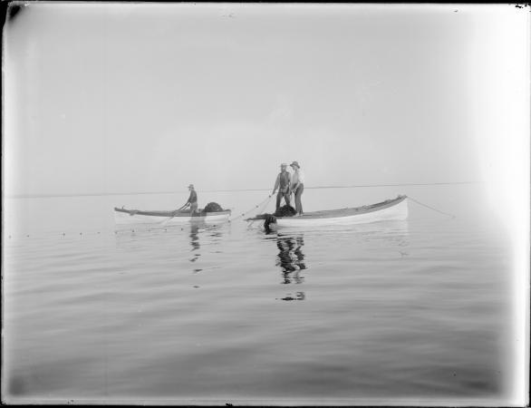 Fishing in the estuary Mandurah 1913