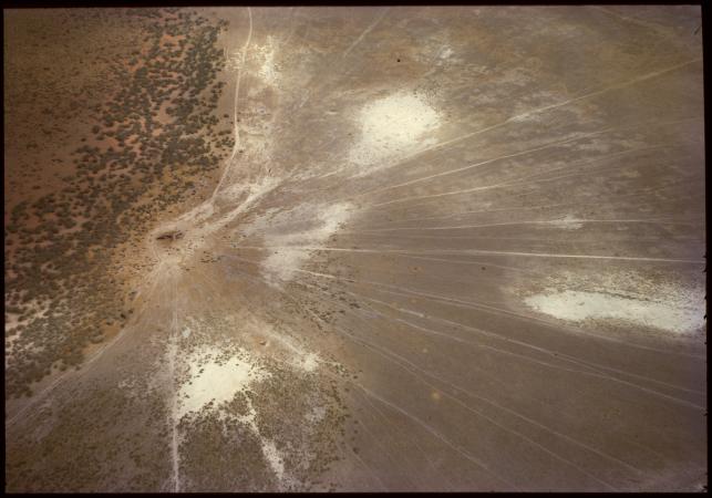 Aerial photograph of cattle tracks leading to a water bore in the Kimberley May 1962