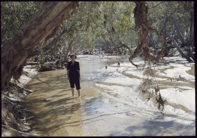  Irwin River at Parkfield Western Australia 1953