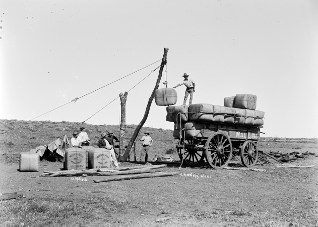 Loading wool at Mallina Station 1917