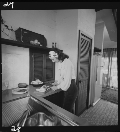 Food preparation 1973 