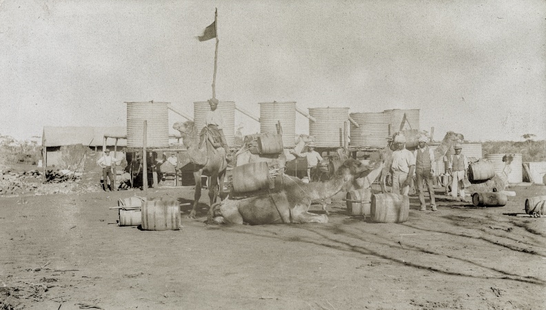 Cameleers with their camels water station Goldfields c1900