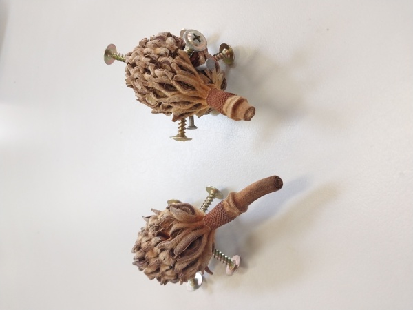 Ecofriendly Sculptures of hedgehogs artist Jodie Davidson 