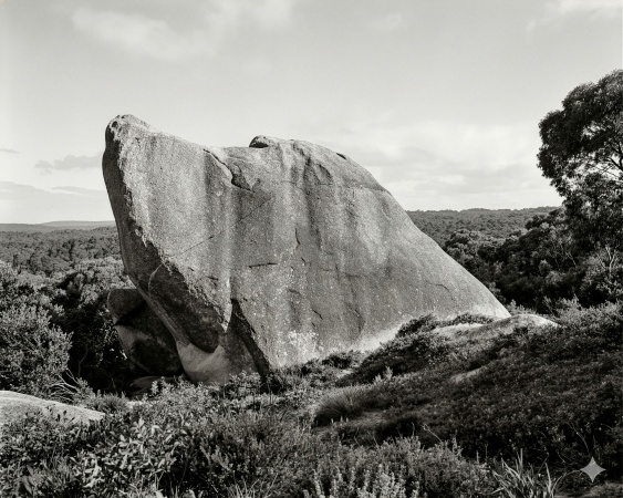 Dog Rock Albany ca 1910