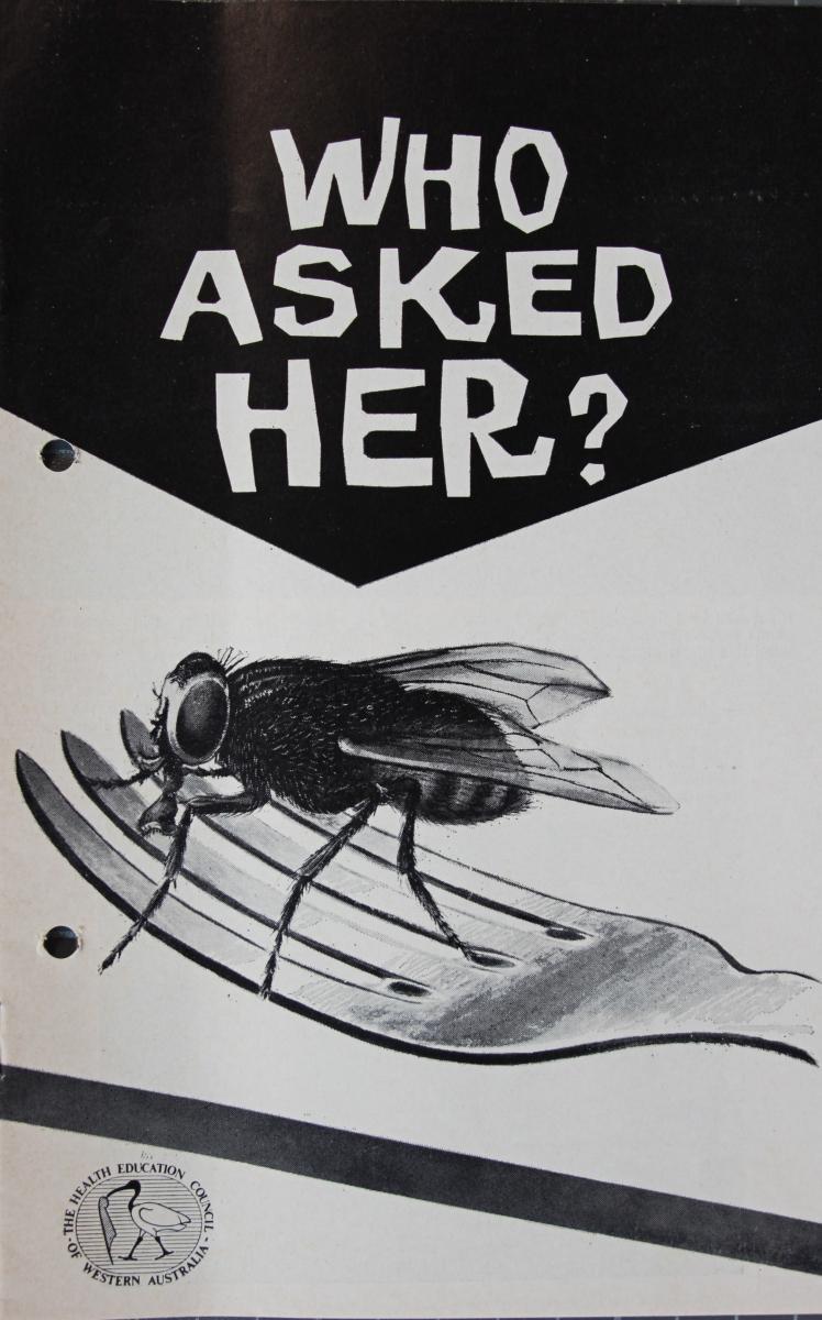 The Public Health Department produced and issued educational material to raise community awareness of fly control