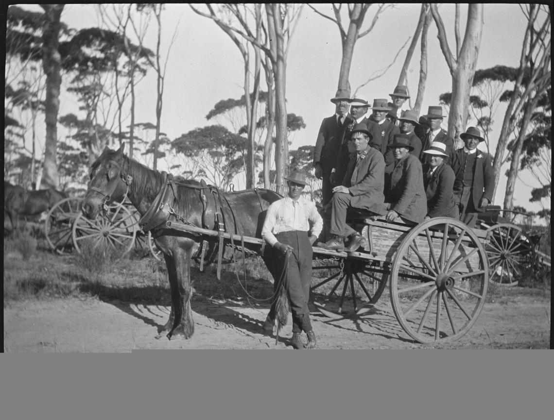 117459PD Winner of the Farmers Race who pulled a ton - the men in the cart are the ton Nyabing 12 October 1918