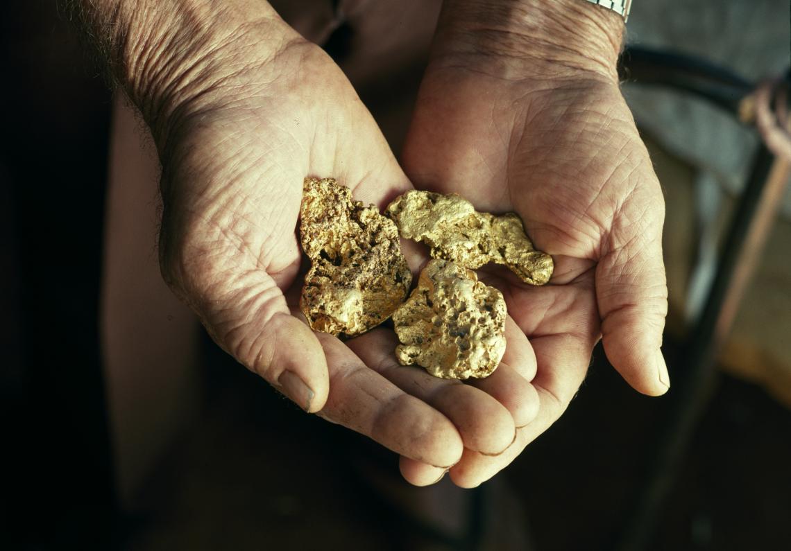 Gold nuggets found with a metal detector in the hands of a prospector in the Goldfields ca1997