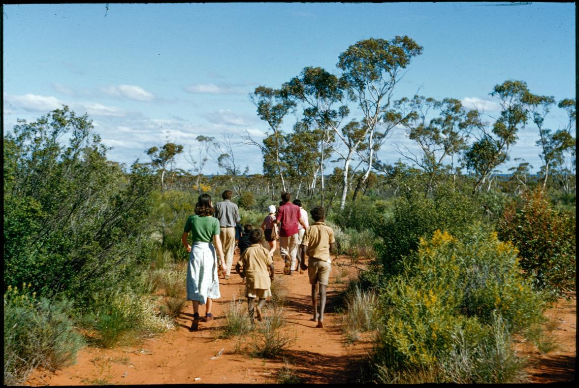 Cundeelee school children on a bush walk 1955