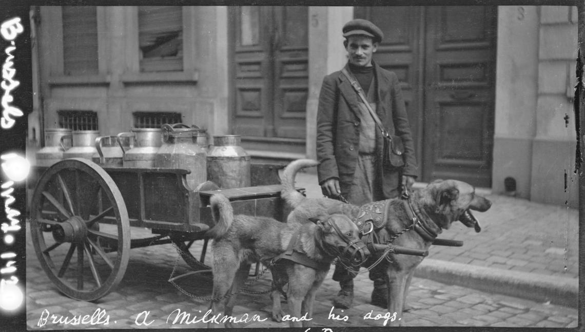 A milkman in Belgium Around 1920-1921