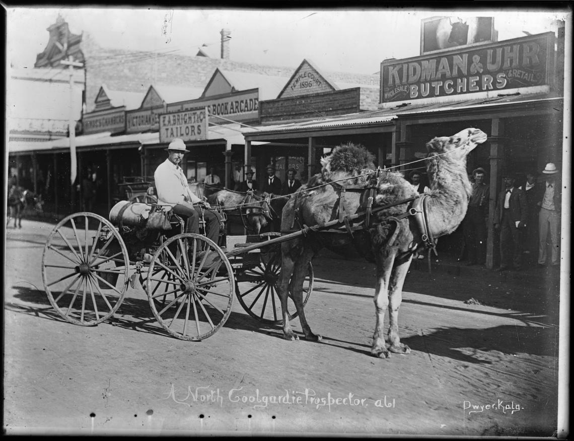 A North Coolgardie prospector