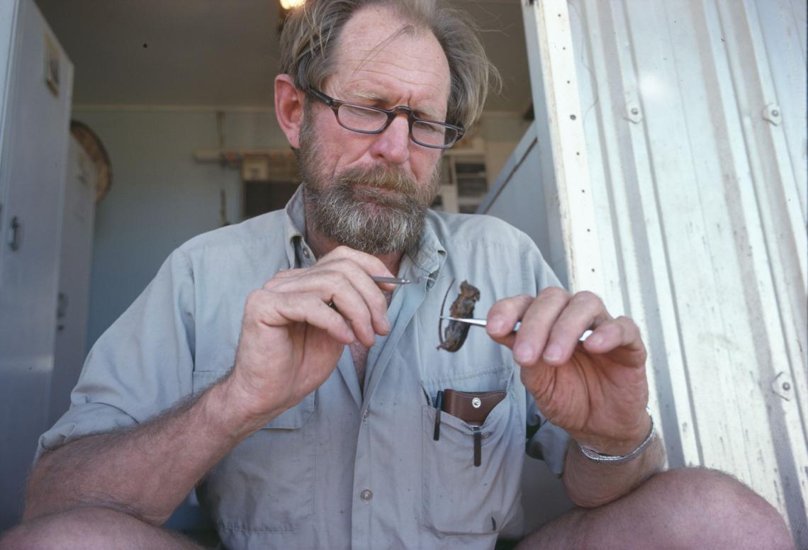 Harry Butler examining an animal specimen Barrow Island 1979