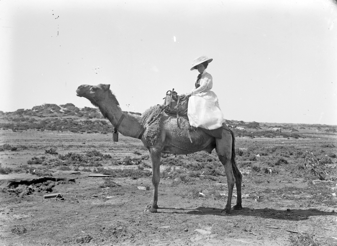 Riding a camel Port Hedland ca 1910