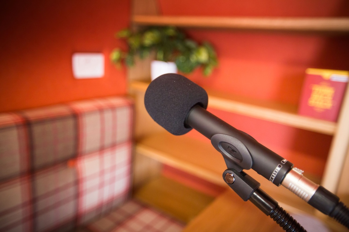 The Chin Wagon - microphone