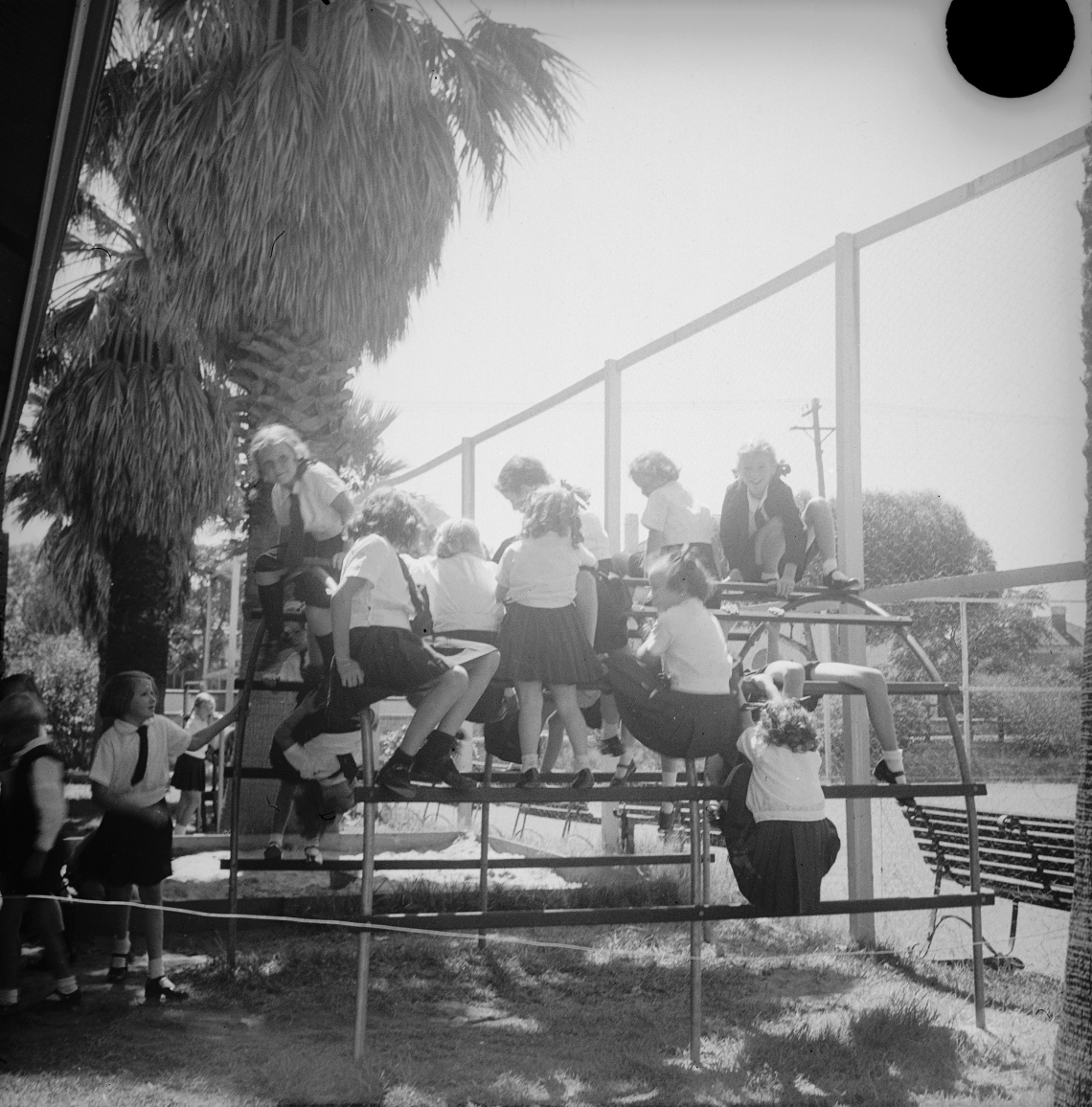 Children on climbing frame at Perth College Mt Lawley 26 February 1941