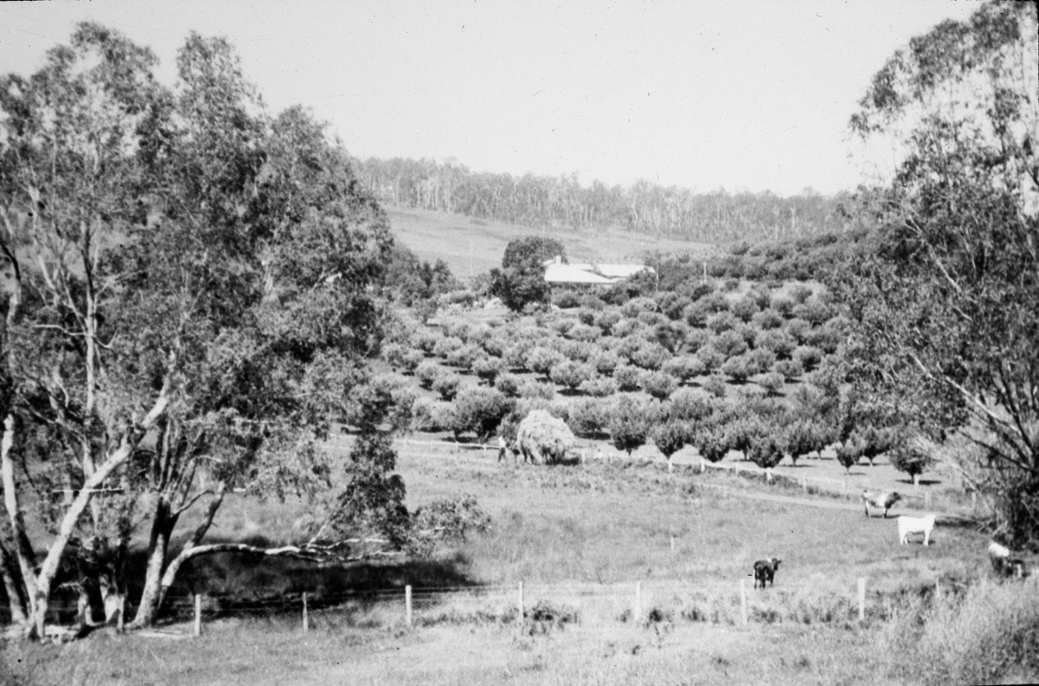 The Clevelands farm Balingup around 1929-1933